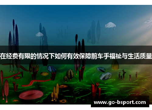 在经费有限的情况下如何有效保障前车手福祉与生活质量