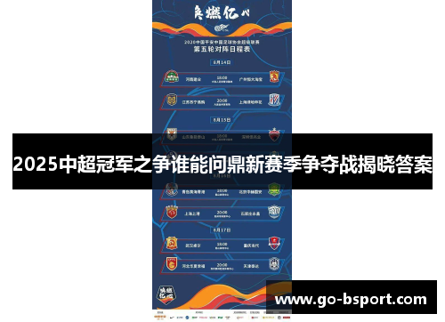 2025中超冠军之争谁能问鼎新赛季争夺战揭晓答案