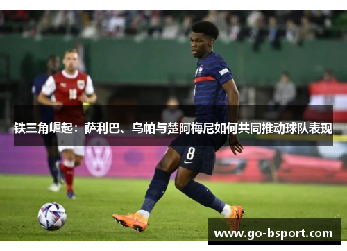 铁三角崛起：萨利巴、乌帕与楚阿梅尼如何共同推动球队表现